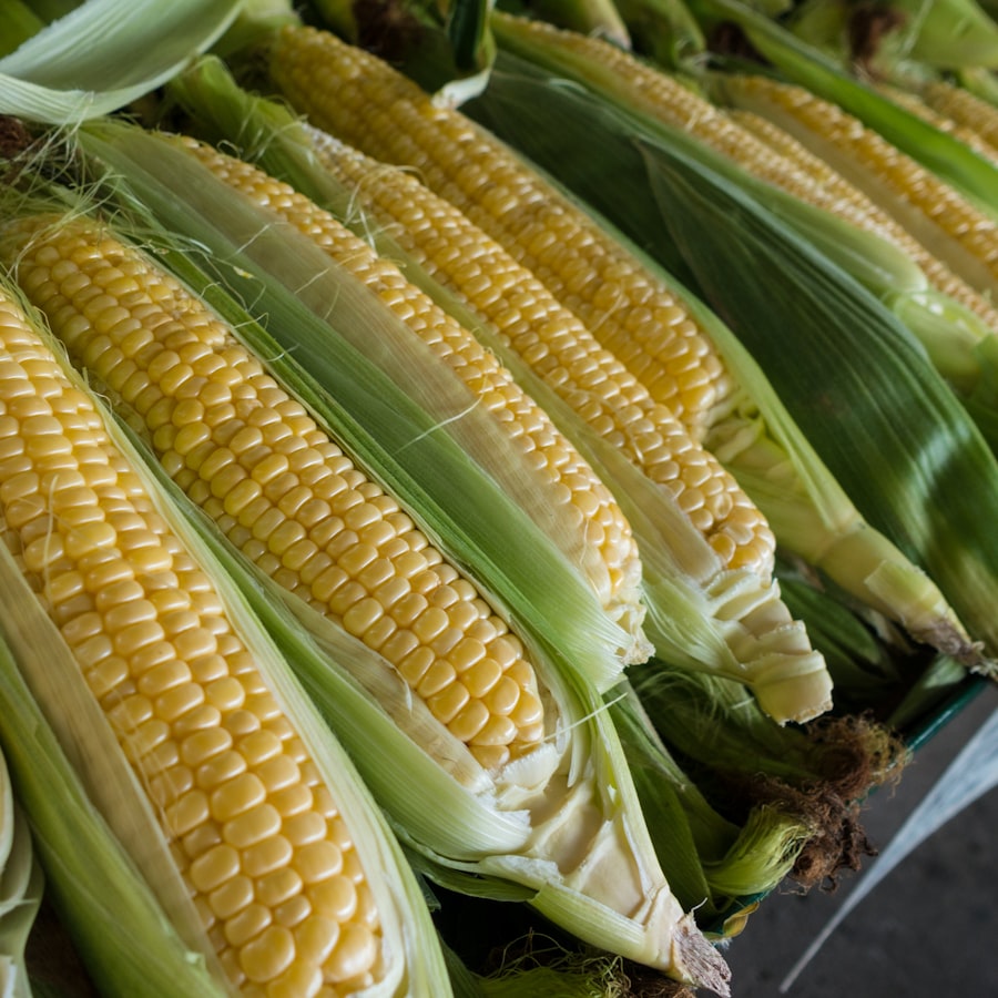 Corn